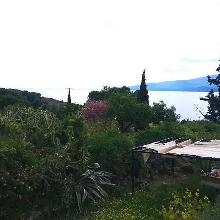 Villa Ancient Port *